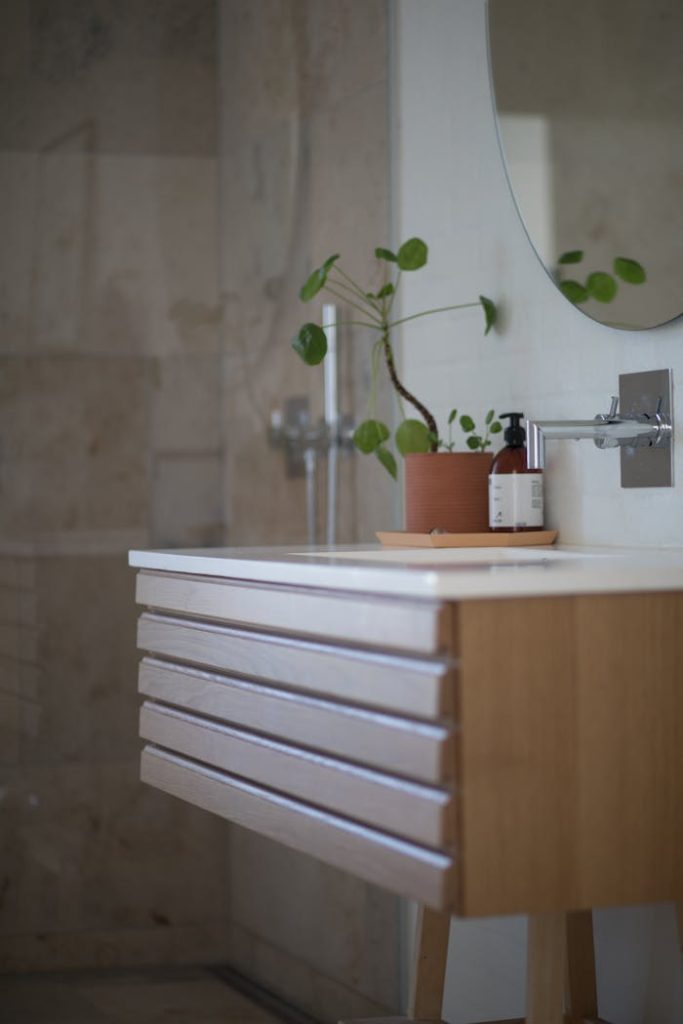 green-leafed-plant-on-brown-pot-1358901 Contemporary bathroom featuring a sleek sink, wooden vanity, and green potted plant decor.